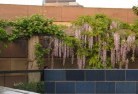 Avoca NSWgazebos-pergolas-and-shade-structures-3.jpg; ?>