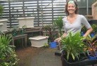 Avoca NSWplant-nursery-9.jpg; ?>